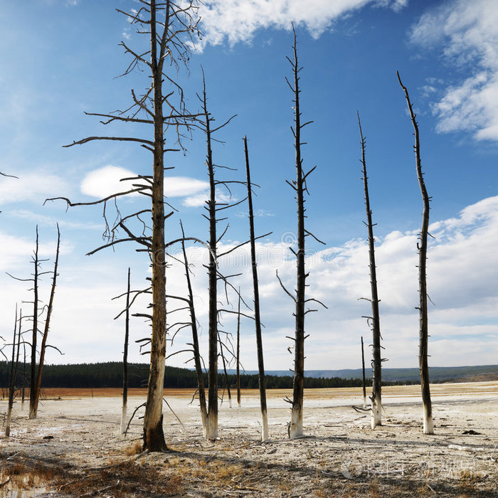 梅斯主场草皮质量检测(医院感染监测规范ppt) 梅斯主场草皮质量检测(医院感染监测规范ppt)