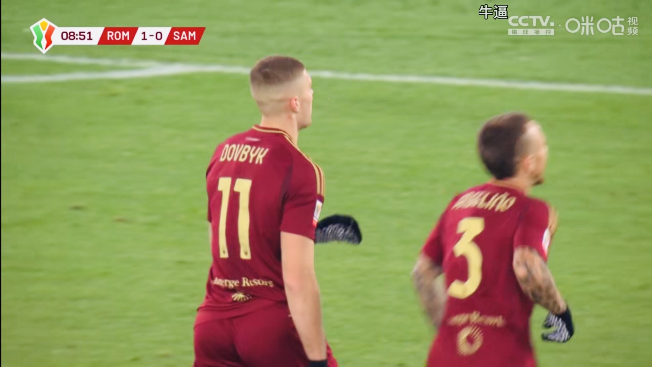 关于多夫比克罗马伤病情况的信息 关于多夫比克罗马伤病情况的信息