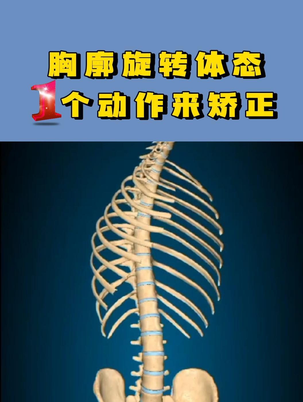 贝尔托防守动作矫正(儿童最先学会抬头然后俯撑) 贝尔托防守动作矫正(儿童最先学会抬头然后俯撑)