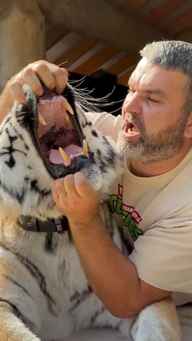 安德烈拦截(安德烈安德烈)