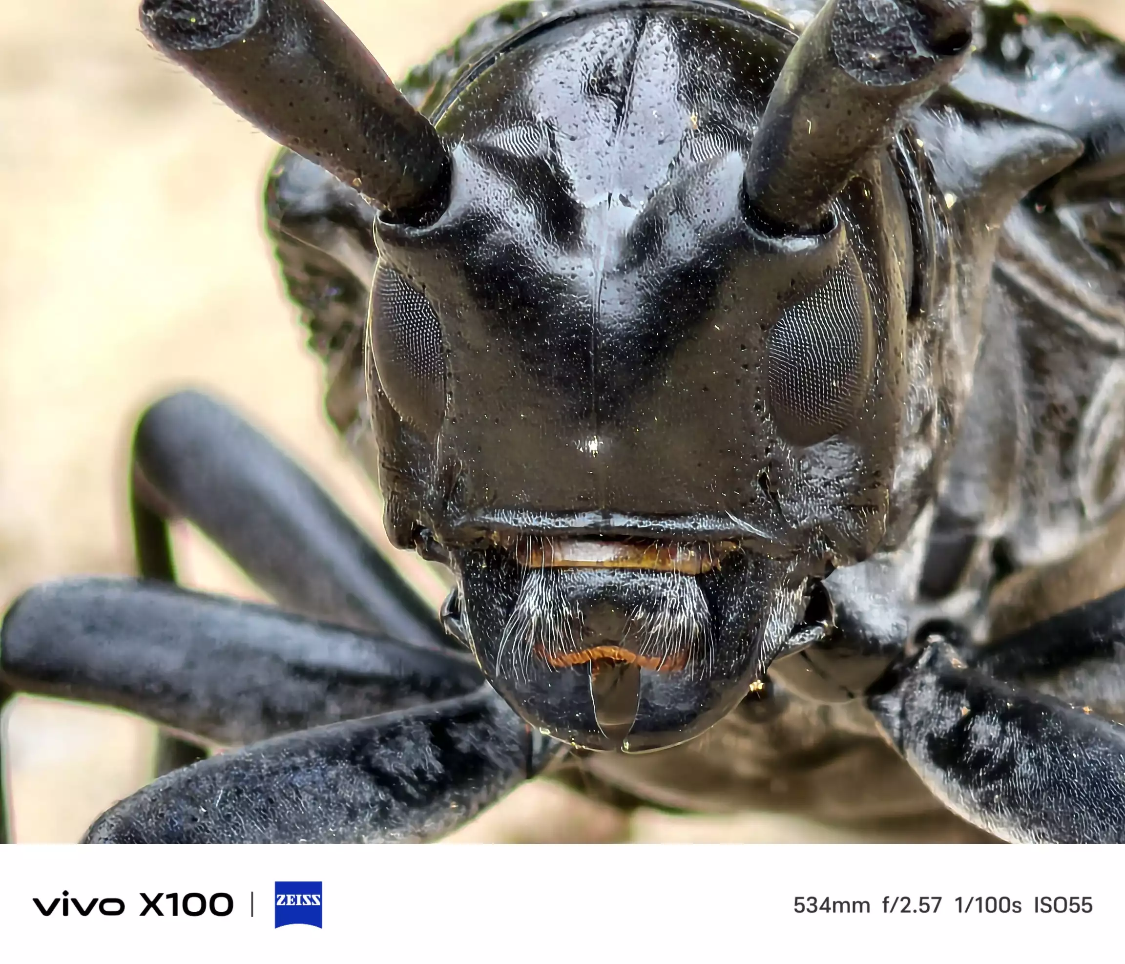 意甲赛季客场虫(意甲2020最新主客场积分榜)